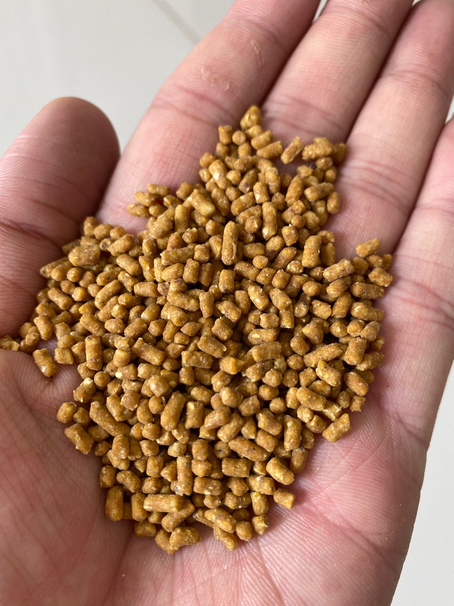 Cám chào mào Đỗ Quynh(500g)