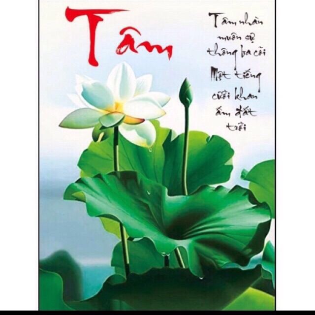 Tranh thêu chữ thập tâm hoa sen 53578 kt 52x72cm