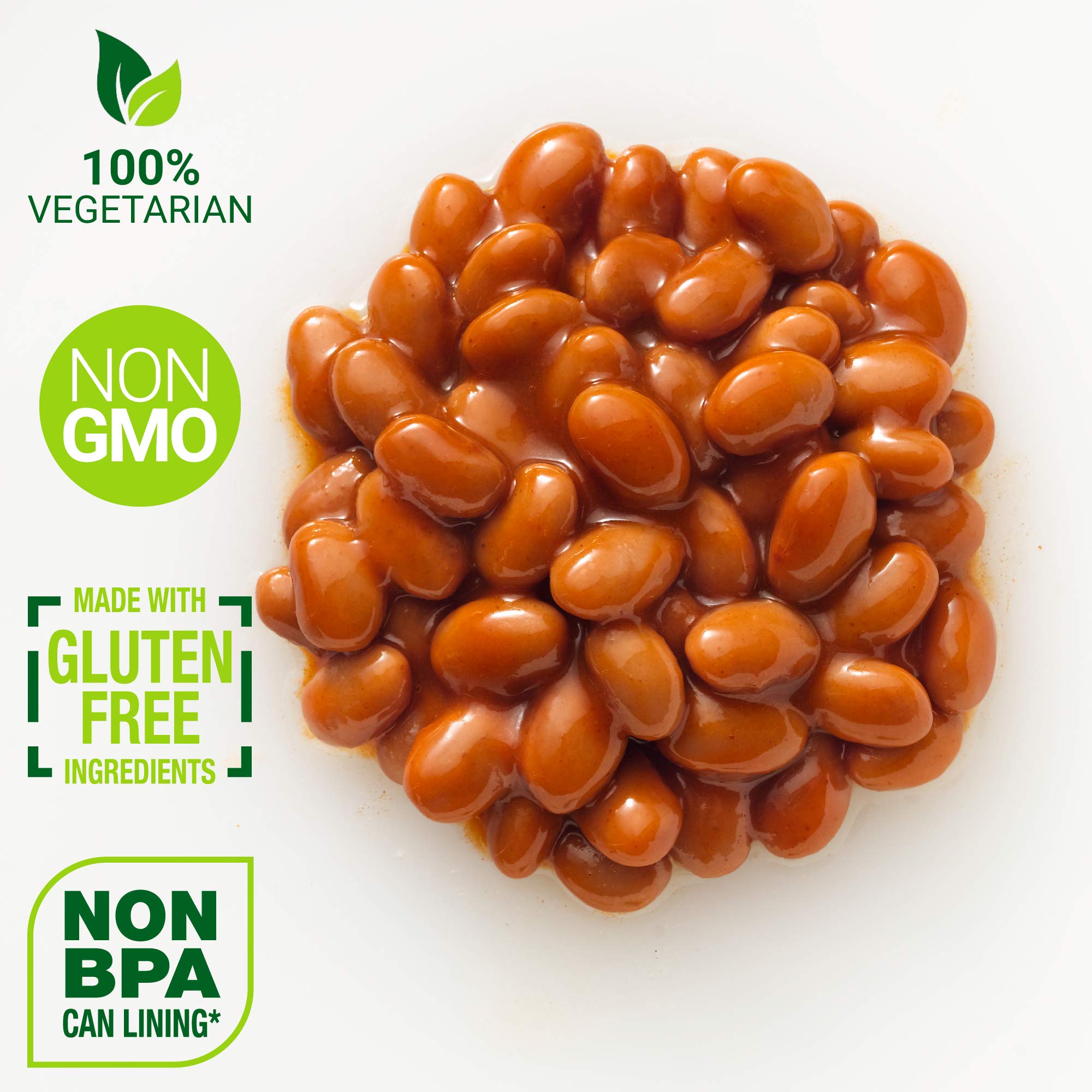 Đậu ớt Chili Beans pinto SW-439g