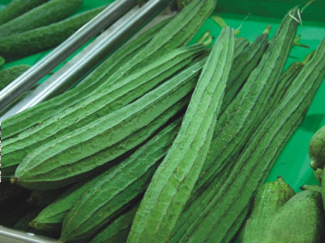 Hạt giống mướp khía 5 hạt/ gói