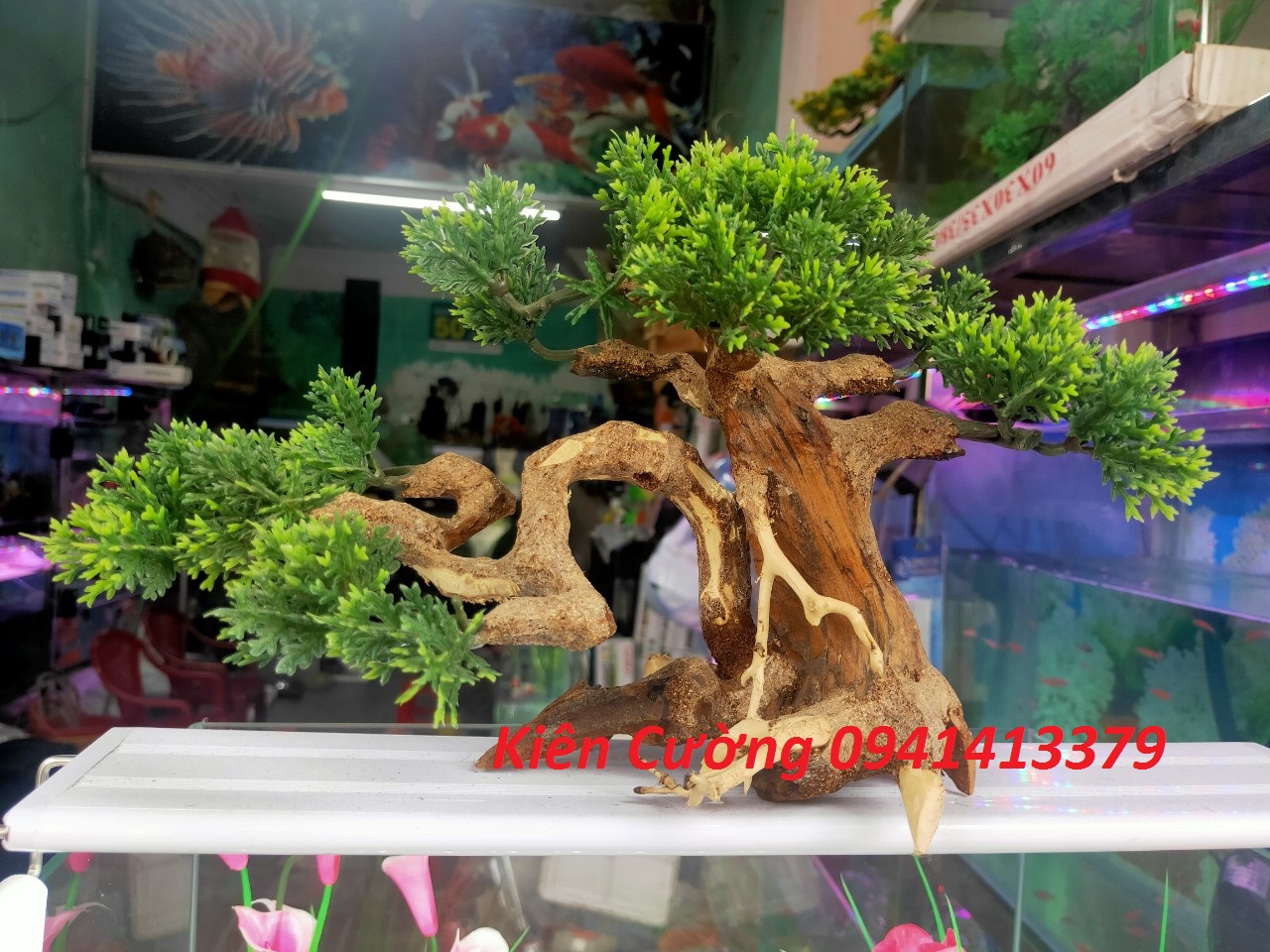 Cây gỗ lũa thủy sinh dùng cho bể cá cảnh, gỗ lúa cao cấp