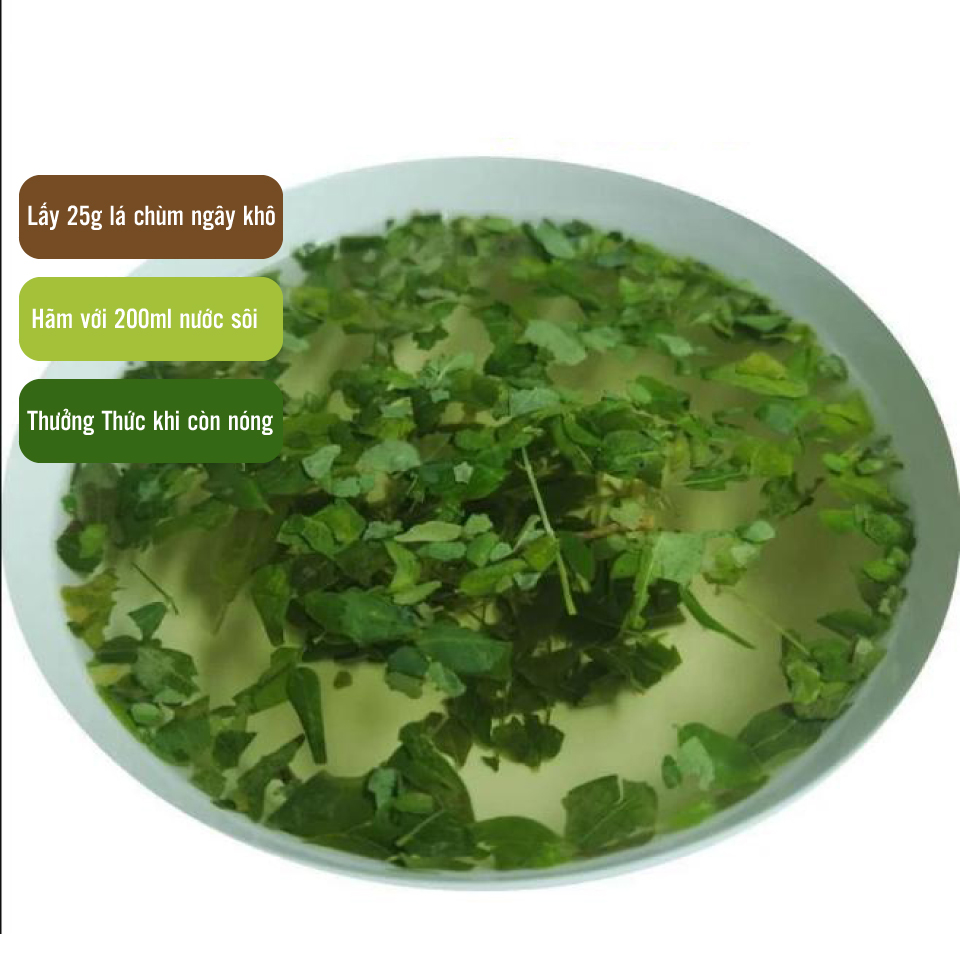 Lá chùm ngây khô 200g - Thảo Dược Tấn Phát