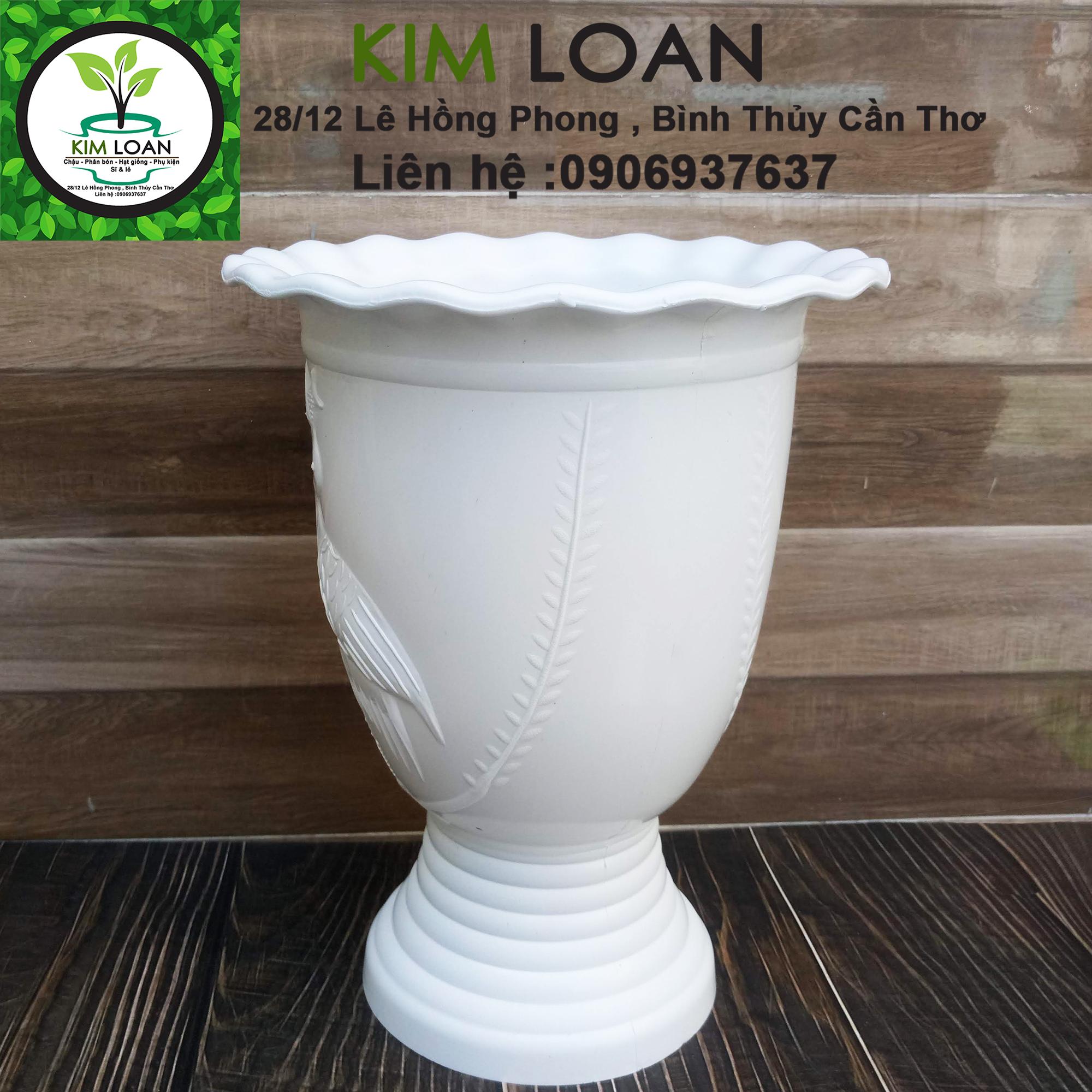 Combo 2 chậu ly kem hoa văn cò bắt cá 23x30cm
