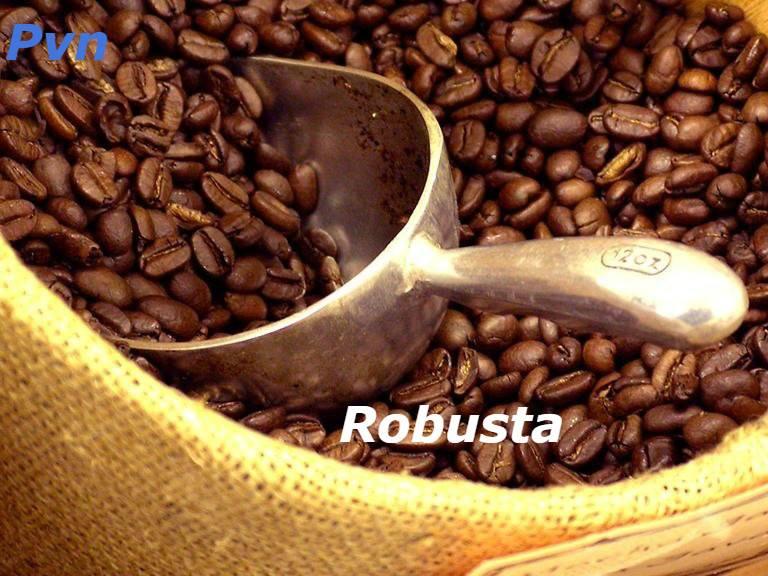 [HCM] 1kg Cà Phê Robusta Hạt Rang Xay Nguyên Chất 100%