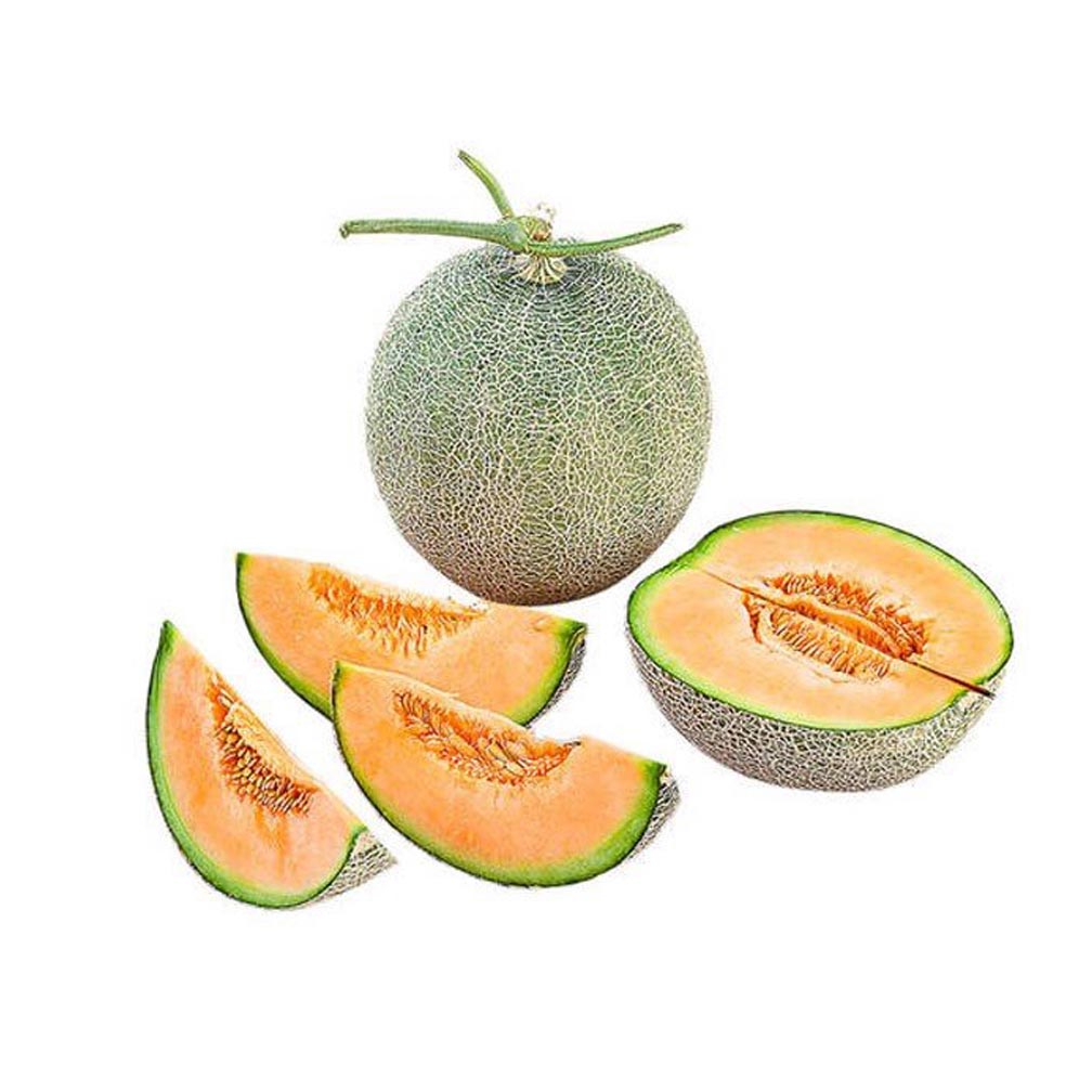 HẠT GIỐNG DƯA LƯỚI NGỌT