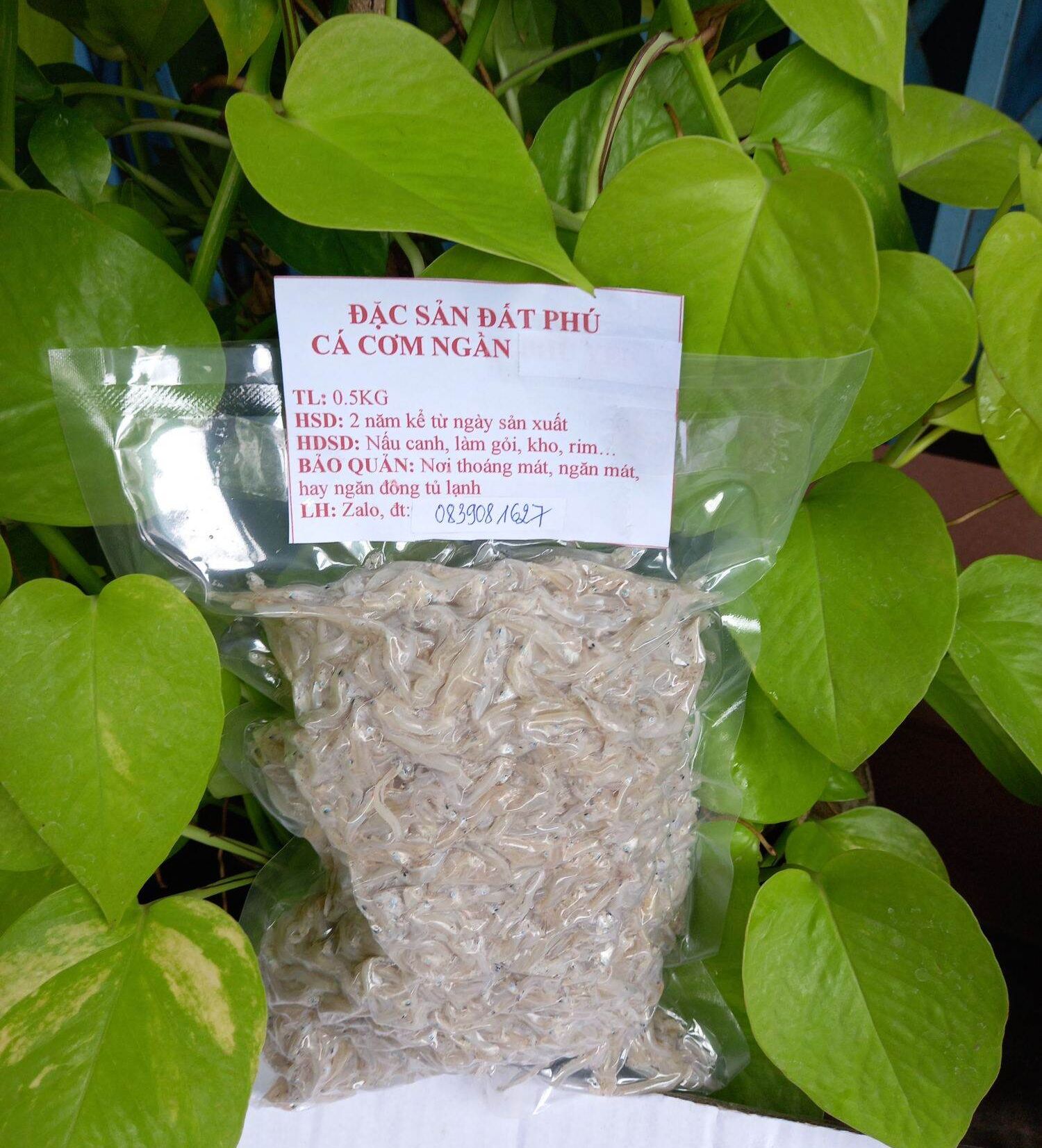 0.5 KG CÁ CƠM MỒM PHÚ YÊN ĐẶC BIỆT (BAO Y HÌNH)