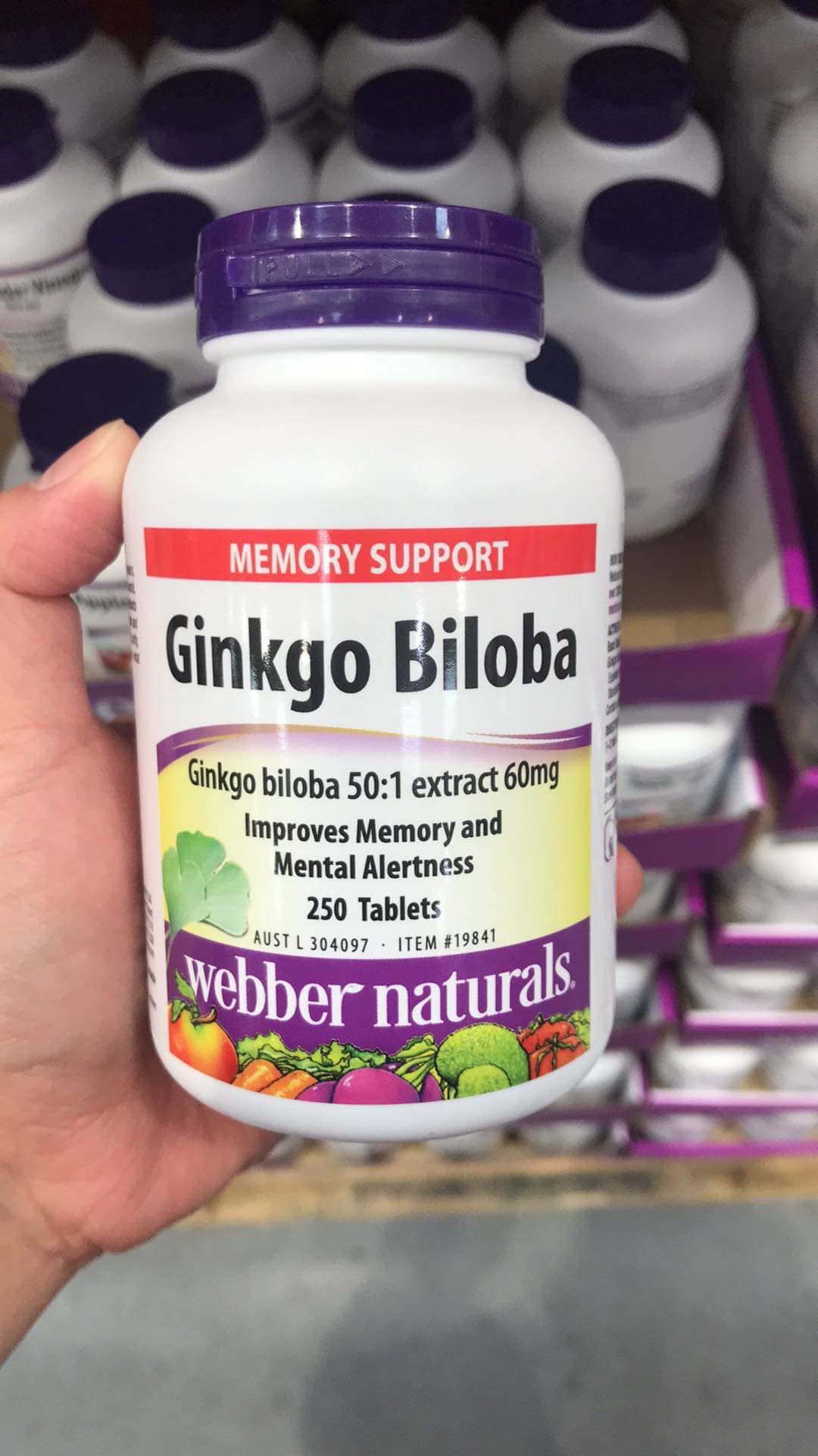 Ginkgo Biloba 60mg Webber Naturals
