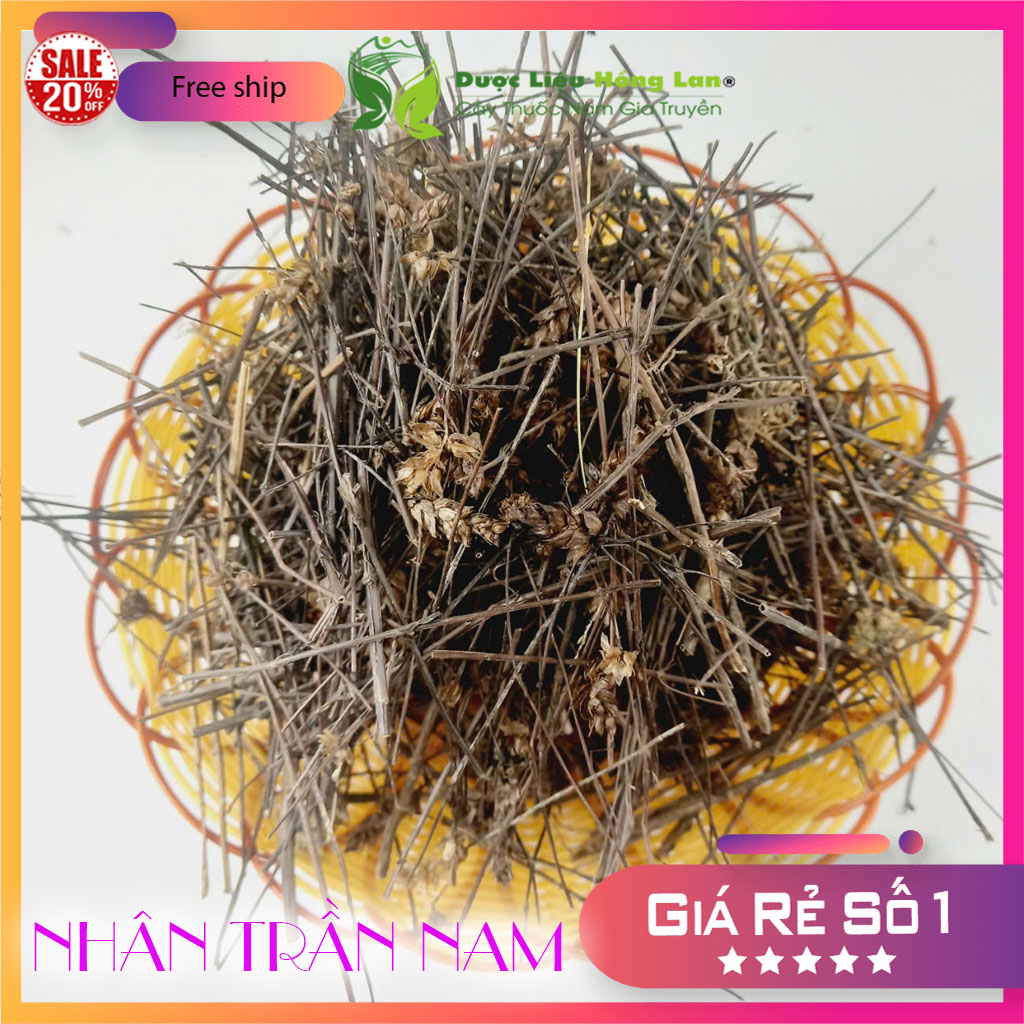 ✅ 1kg Cây Nhân Trần Nam khô sạch