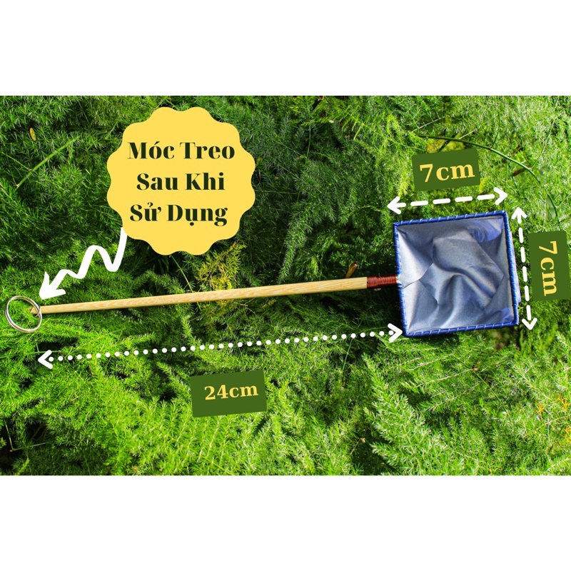 Vợt Cá Betta Guppy ( Vợt Giữ Nước )