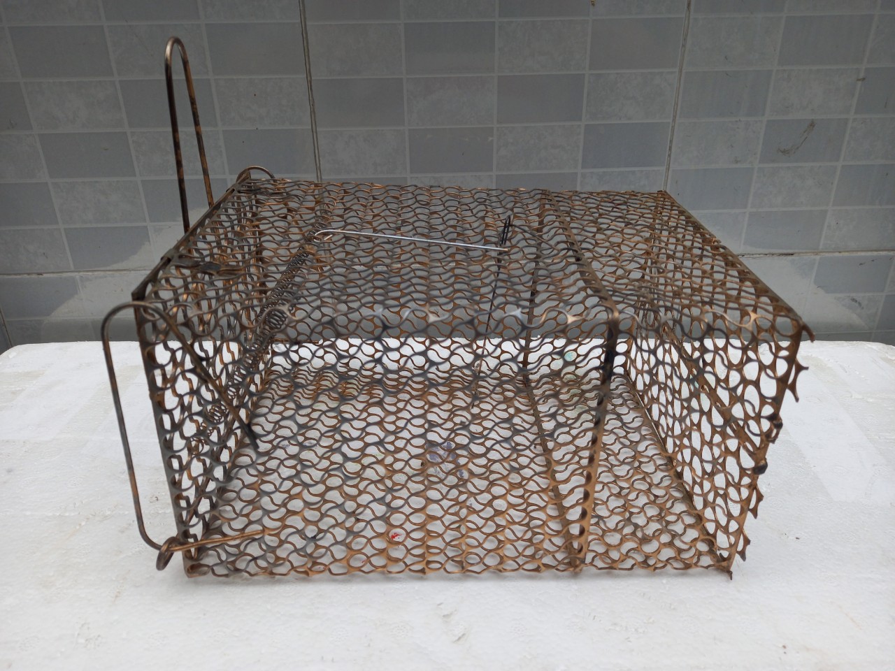 25 cm Mouse Trap Cage with Lock