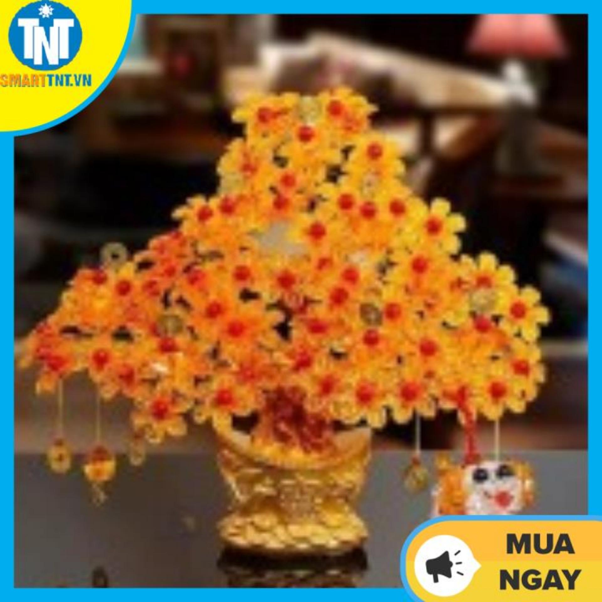 Cây kim tiền phát tài phát lộc đế vàng 7 cành trang trí ngày tết