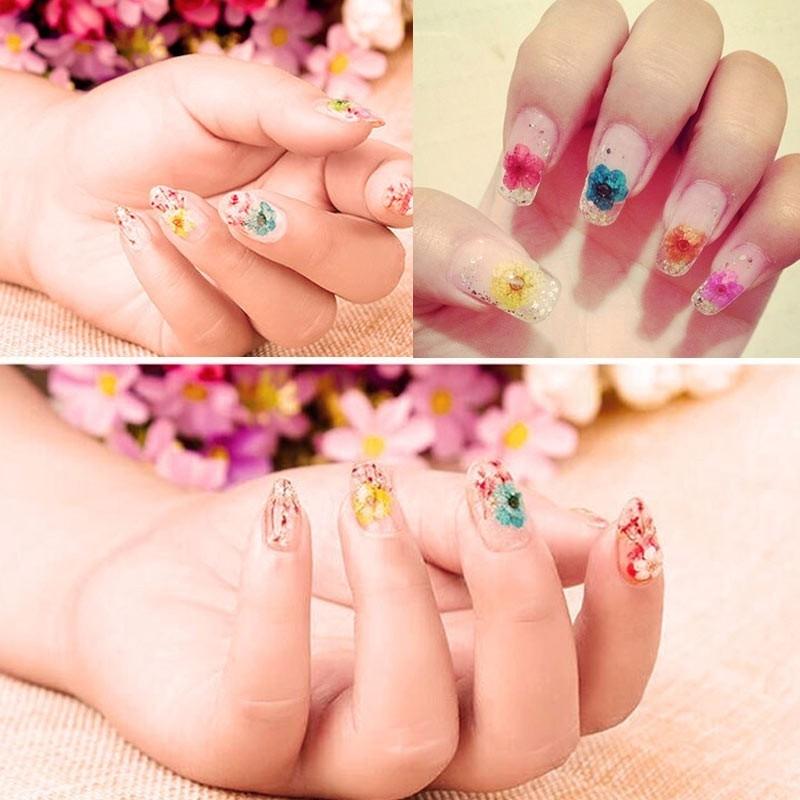 [HCM]Bộ 3 bịch hoa sao khô mini trang trí móng resin