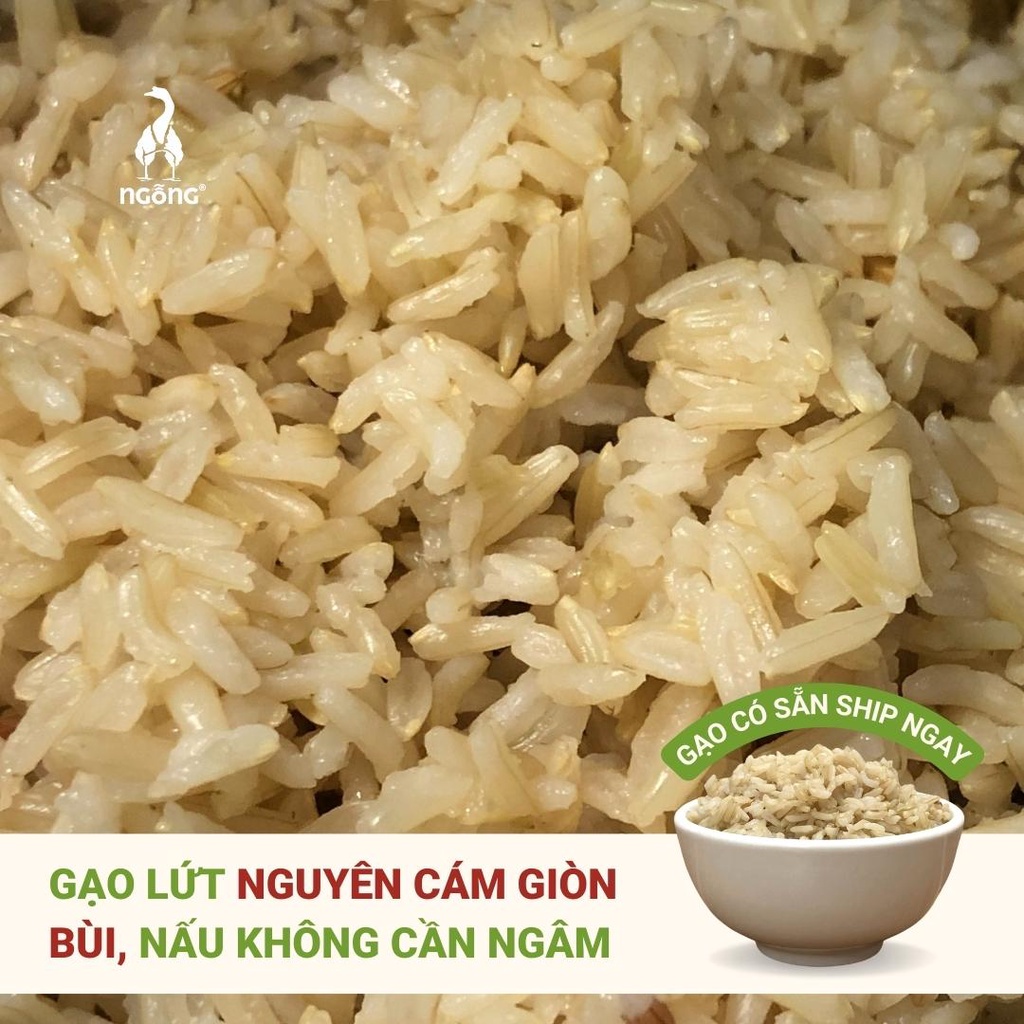 Gạo Lứt ST25 Lúa tôm Túi 1kg thượng hạng