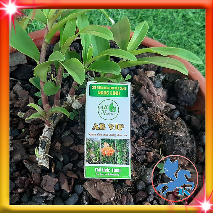 Chế Phẩm Ngọc Linh AB 10ml | Hỗ trợ phân bào cho Phong Lan