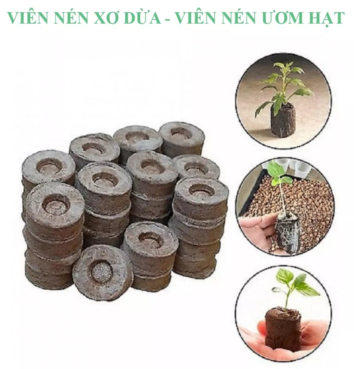 Bộ 30 viên nén ươm hạt - kích nảy mầm