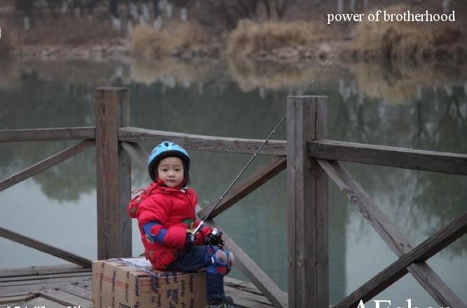 Cần Câu bút dài 1m