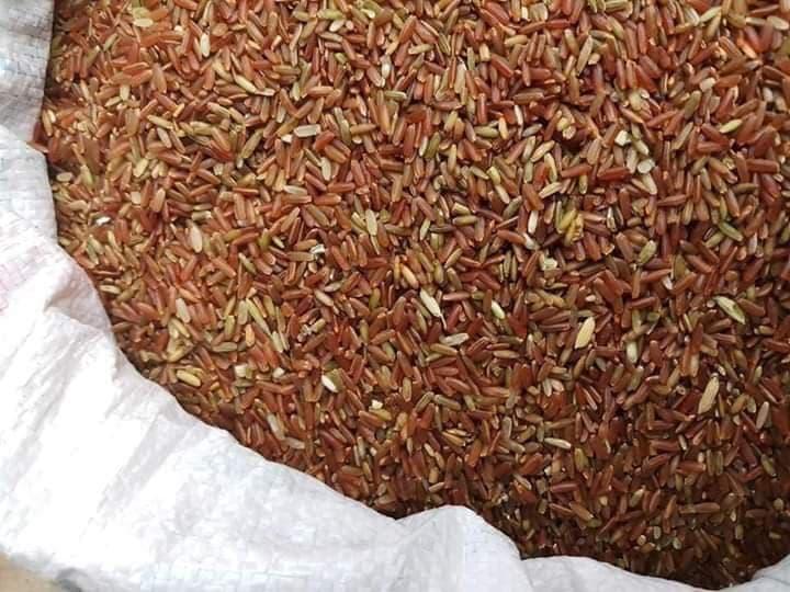 Gạo lứt đỏ - gạo quê Hà Giang - 1kg