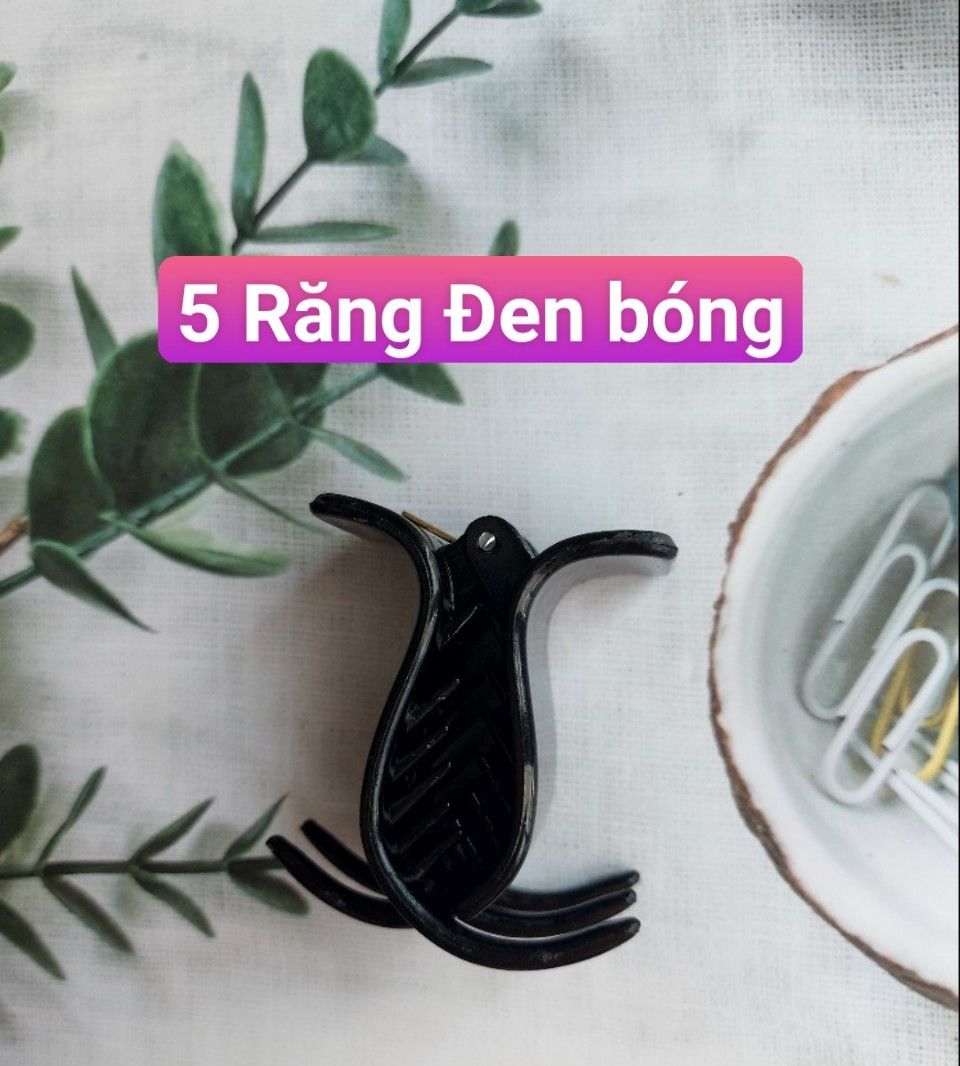 [HCM] SET 2 cái Kẹp tóc càng cua 3 Răng - 5 Răng nhiều màu
