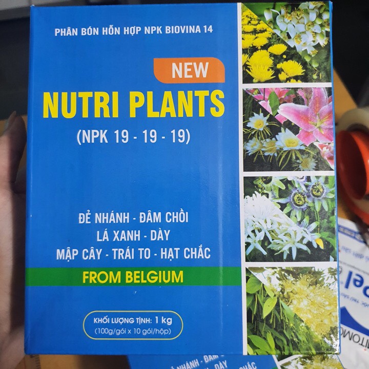 Phân Bón NPK 19 19 19 + TE 1kg