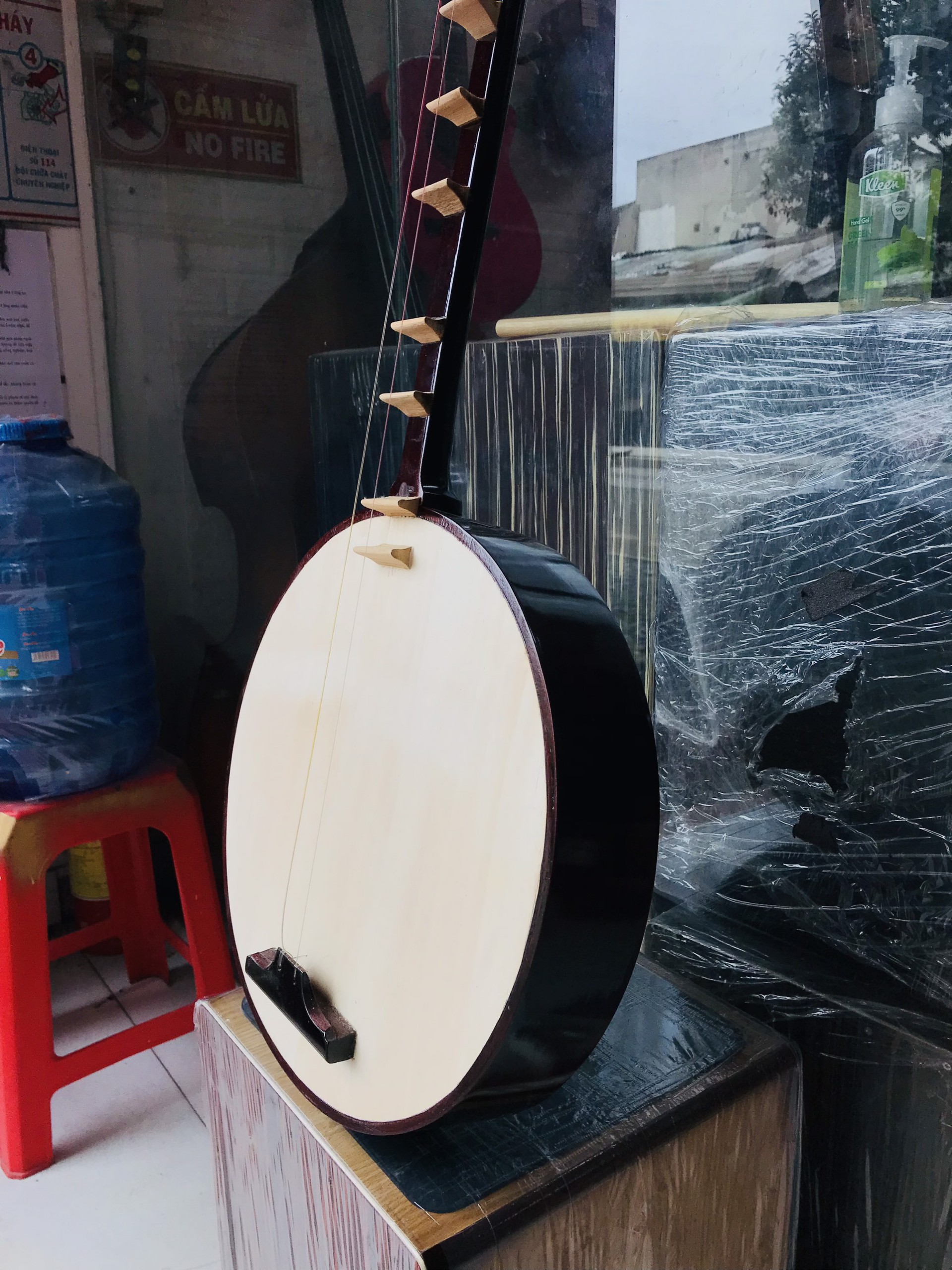 [HCM]Đàn nguyệt miền nam 8 nốt