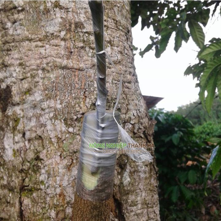 Băng ghép cây nilon tự hủy khổ 8cm