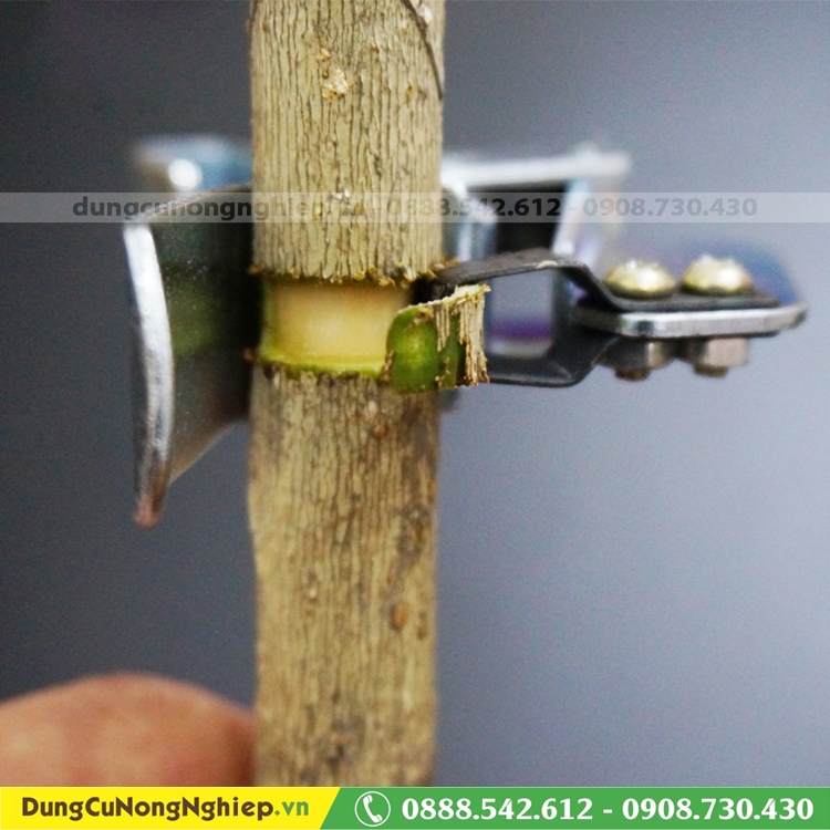 Dụng cụ khoanh vỏ chuyên dụng