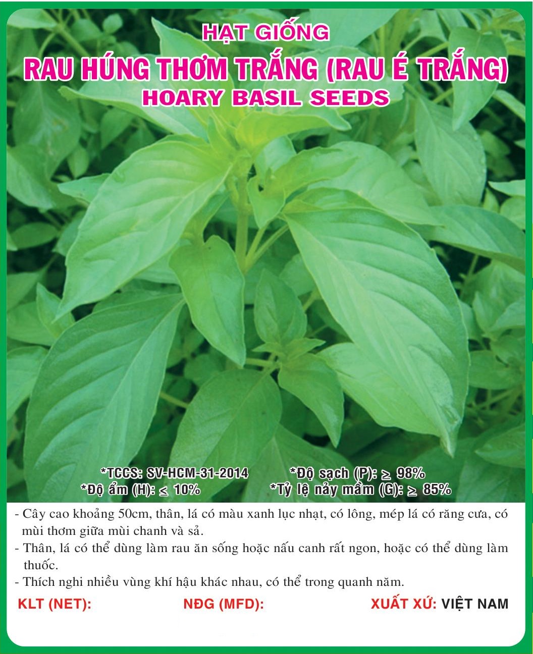 gói Hạt giống rau húng thơm trắng- É Trắng gói 5g