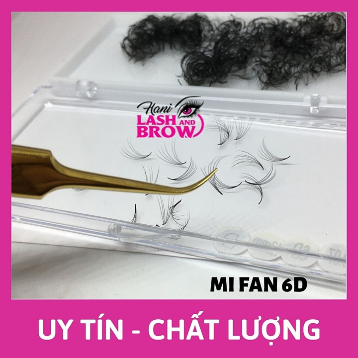 Lông Mi Fan Tay Sẵn 6D - Hani Beauty