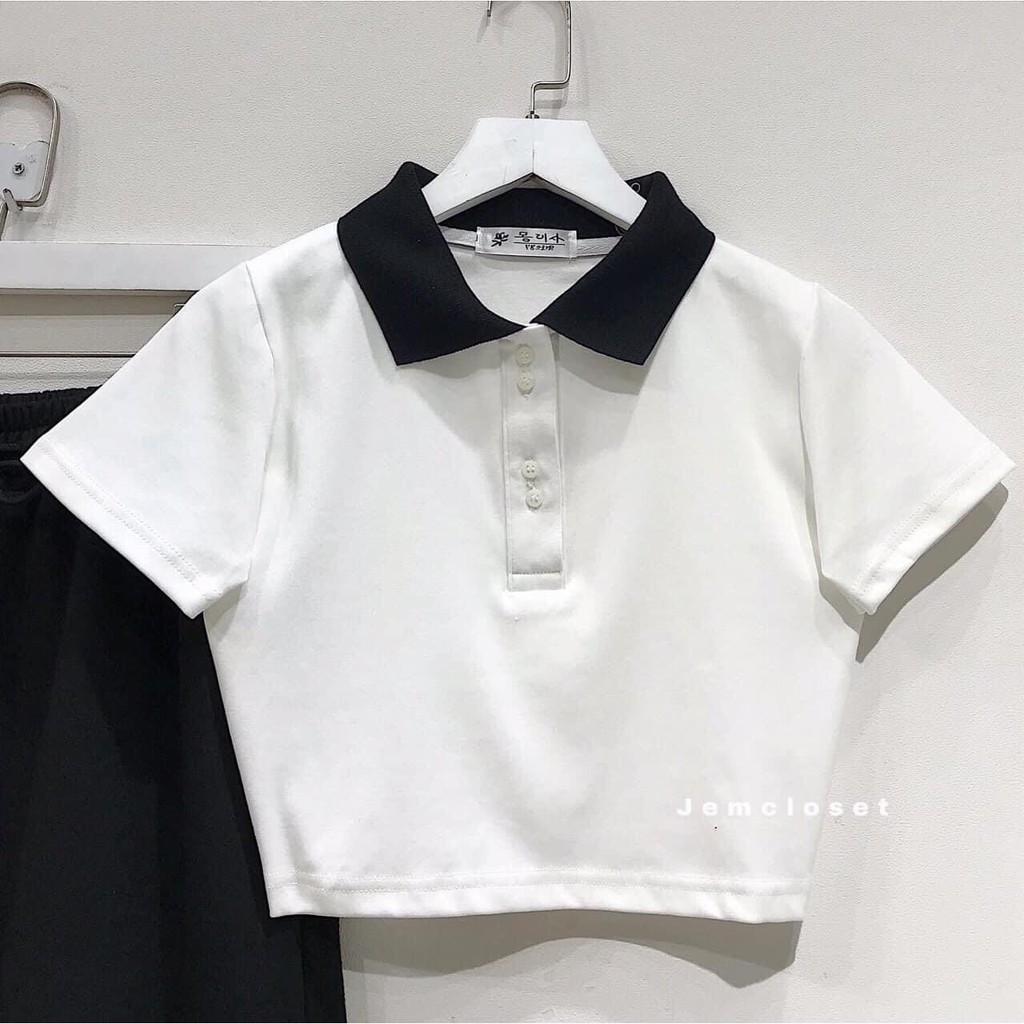 AO CROPTOP PETTER PHỐI CỔ