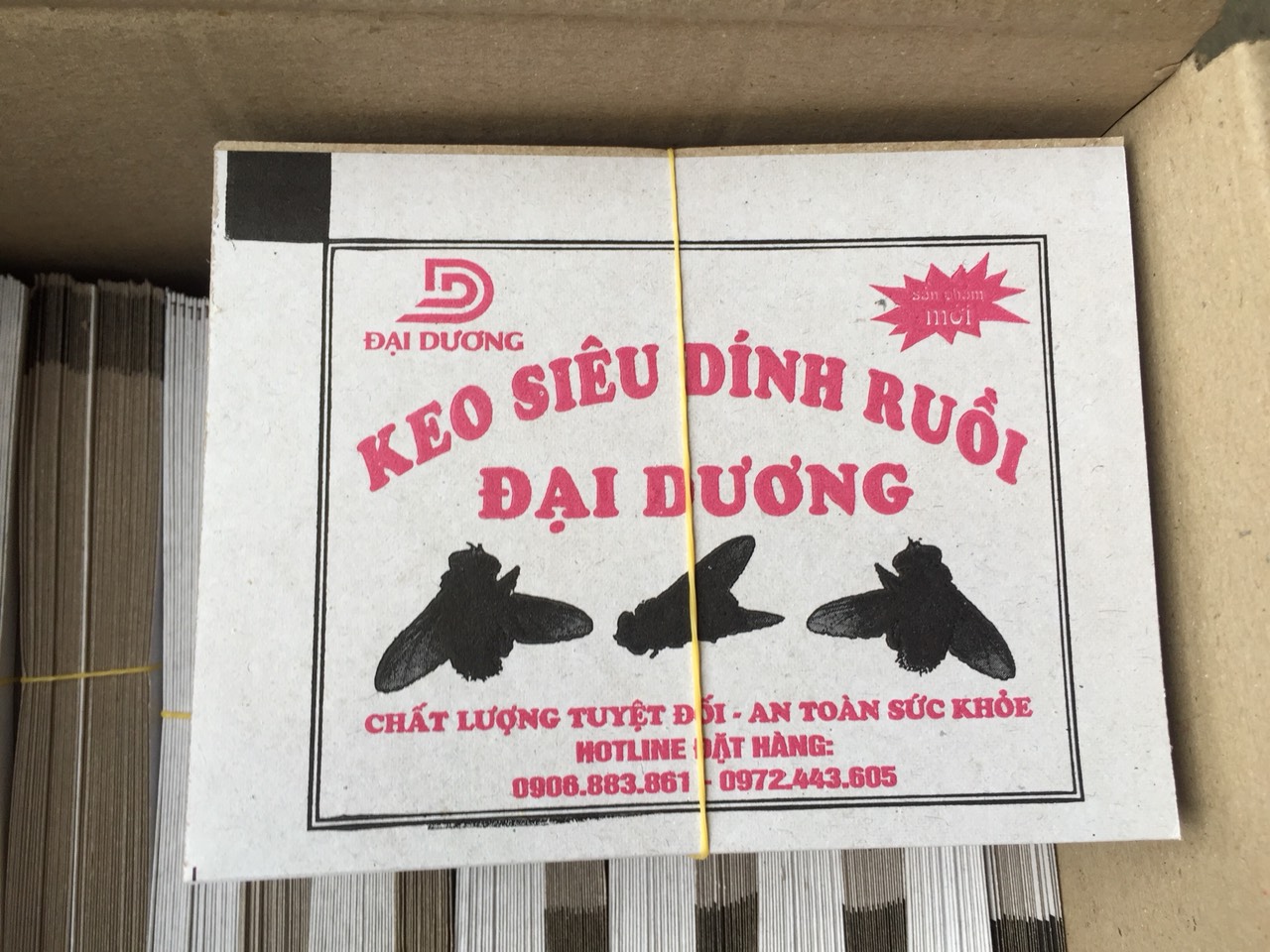 Keo dính ruồi siêu dính (10 tấm)
