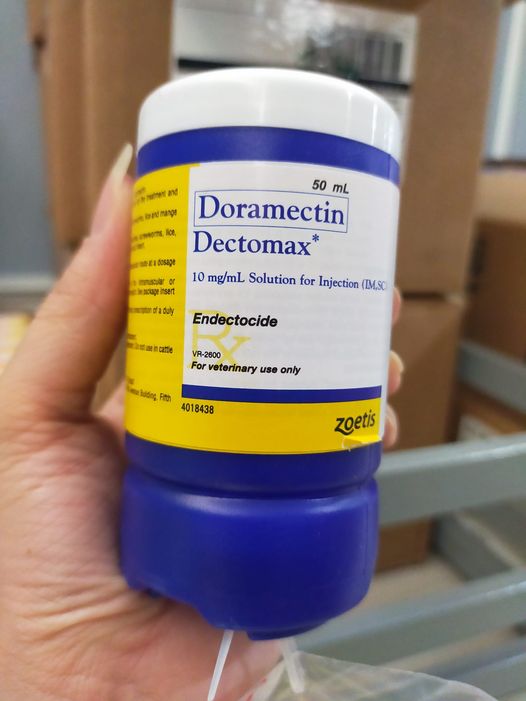 Doramectin dectomax 50ml - bom ghẻ mỹ đặ biệt tốt cho chó, mèo, heo, trâu, bò, dê, ngựa