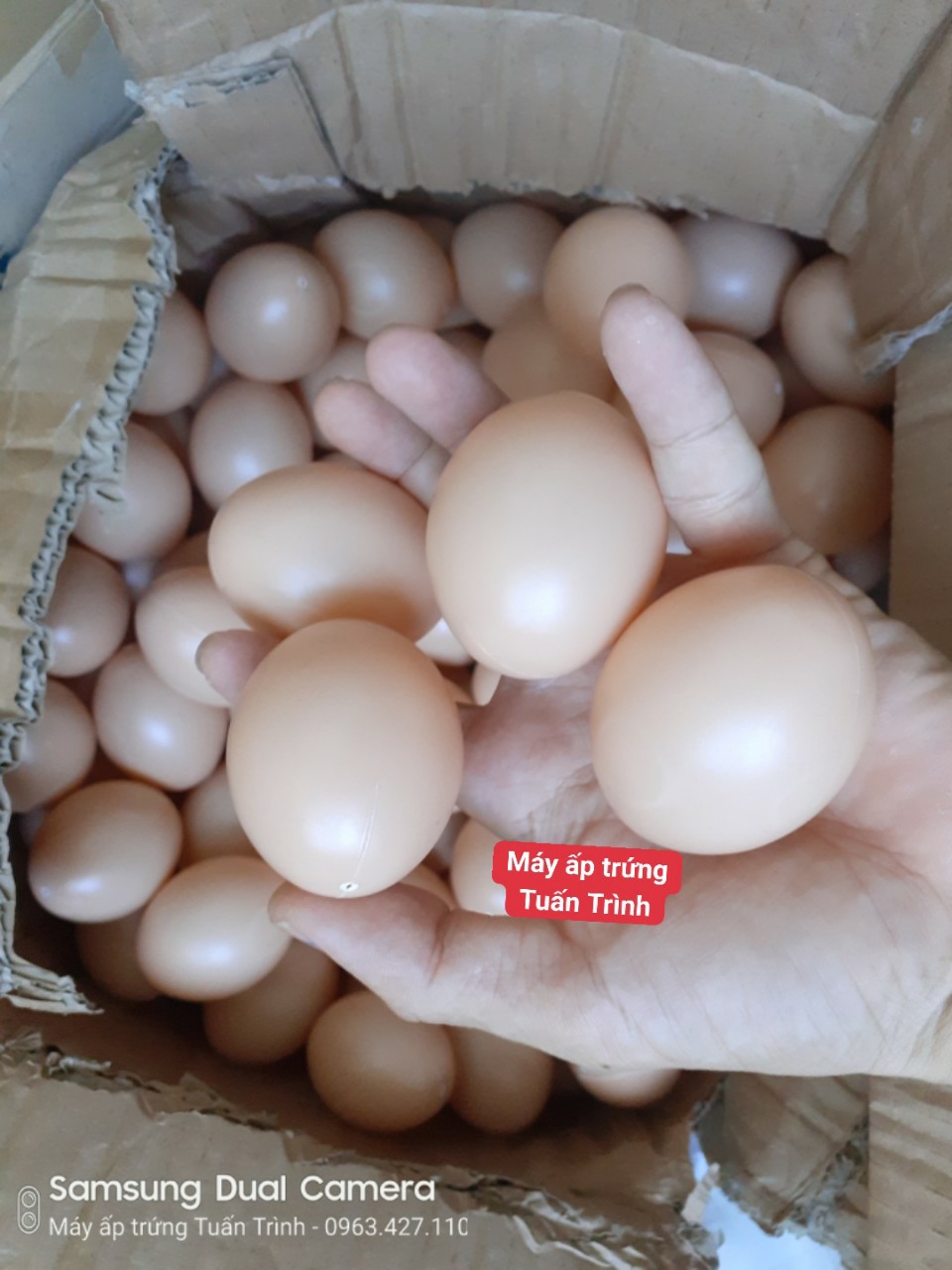 Trứng gà giả