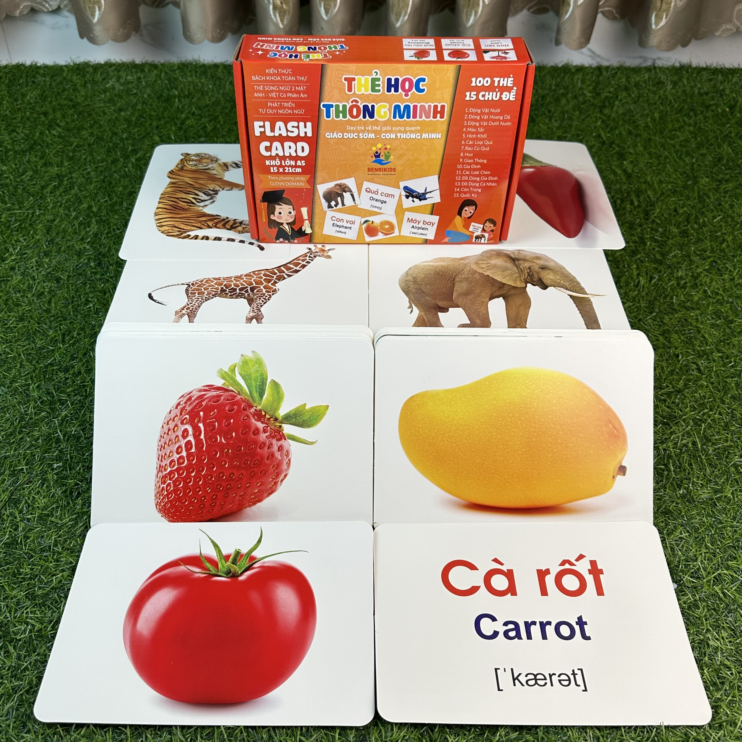 Baby prepared alphabet for 1 grade, benrikids educational toy