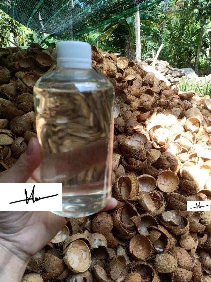 1 lít dầu dừa ép lạnh không mùi hàng chuẩn bến tre