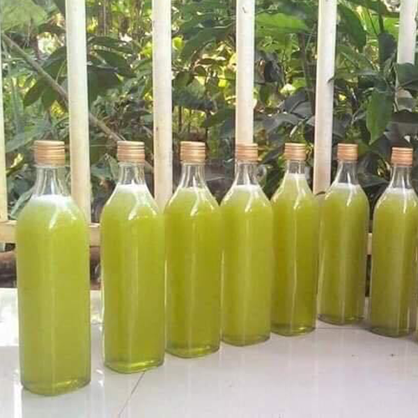 Mật ong rừng bạc hà nguyên chất - 1 lít