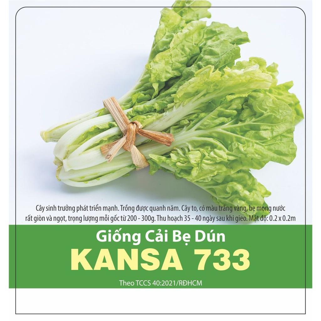 Hạt giống Cải bẹ dún (10g)