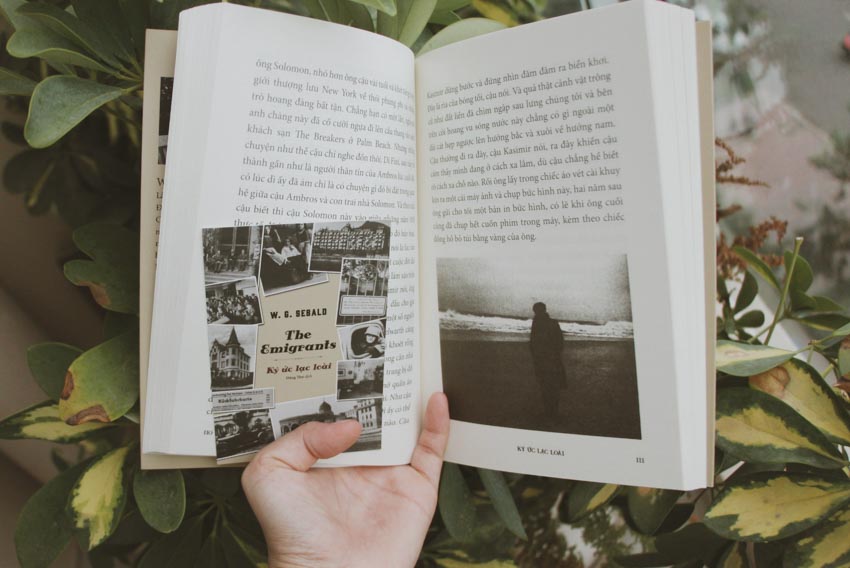 [Uncolored] Book - Memories of Lost Species - W.G. Sebald
