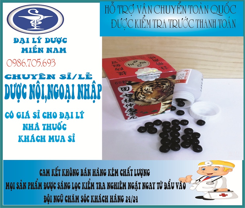 Điền thất đỗ trọng hổ cốt – hỗ trợ xương khớp