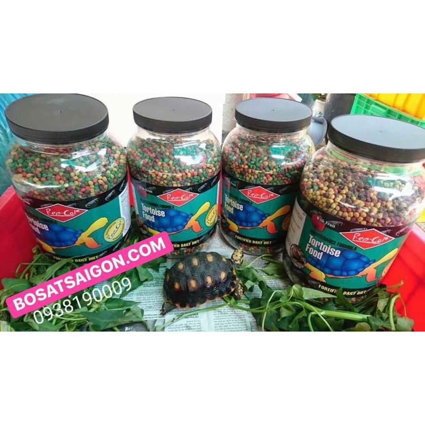 REPCAL TORTOISE - THỨC ĂN DÀNH CHO RÙA CẠN 1KG
