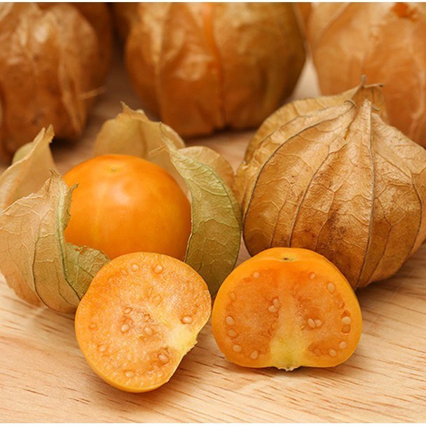 Hạt Giống Cây Thù Lù Nam Mỹ( Cây anh đào đất )-gói 50 hạt