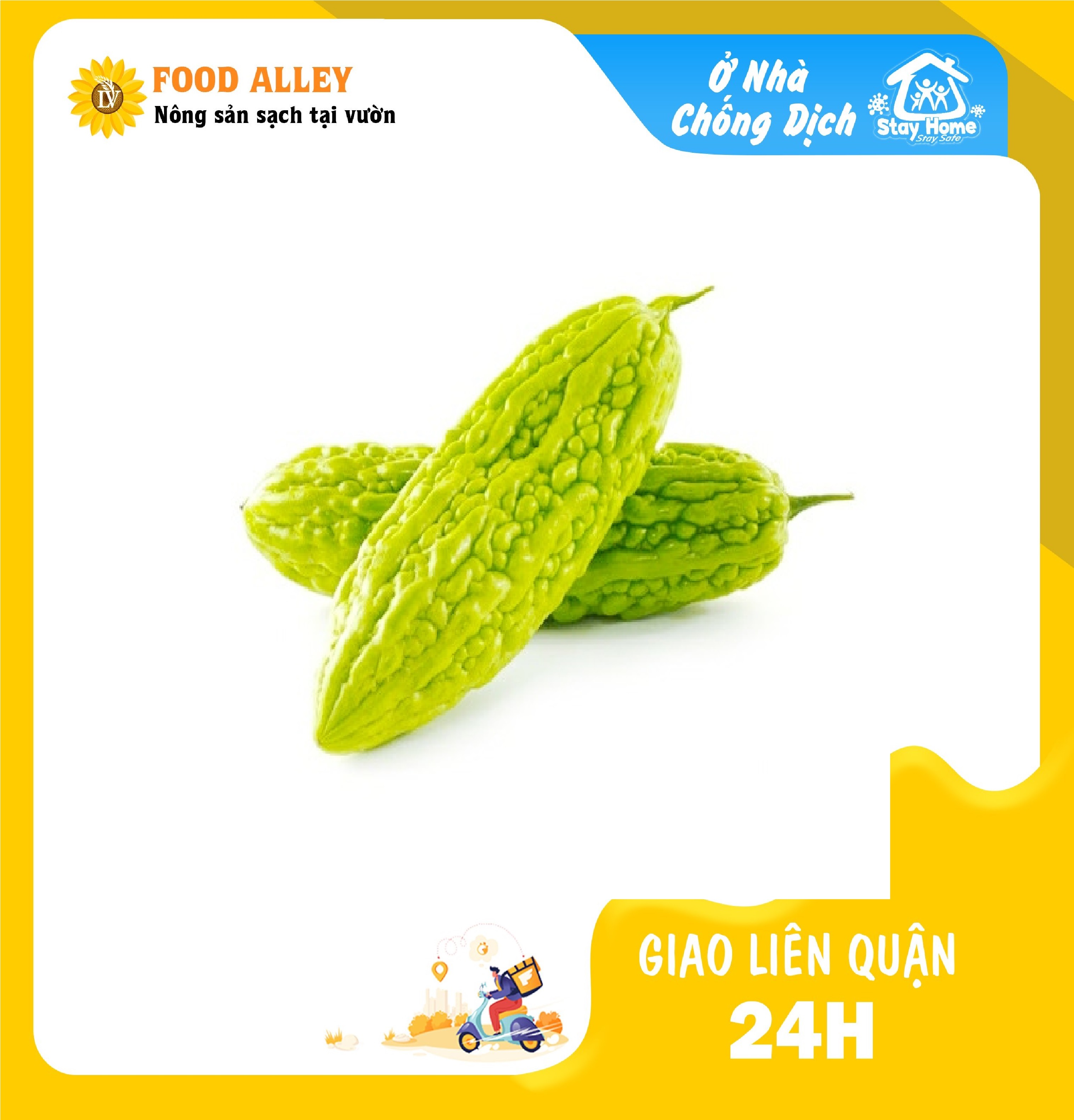 [CHỈ GIAO HCM] KHỔ QUA ĐÀ LẠT