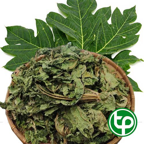 [Túi lớn loại 1kg]Lá đu đủ sấy khô - Hàng công ty chất lượng cao - Hỗ trợ cải thiện sức khỏe làn da của bạn - Thảo Dược Tấn Phát