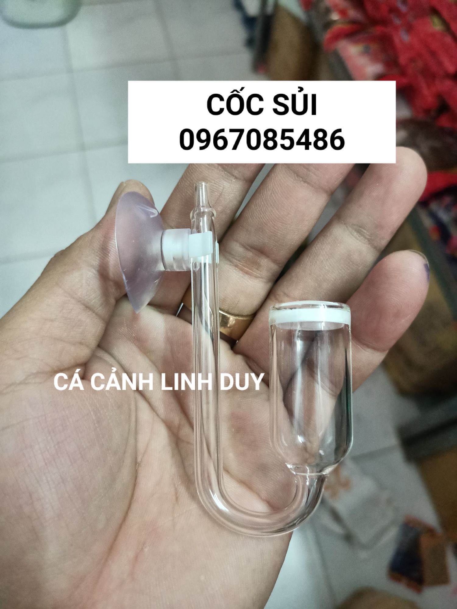 CỐC SỦI , CỐC SỦI THỦY SINH , CỐC SỦI CO2 THỦY TINH ,
