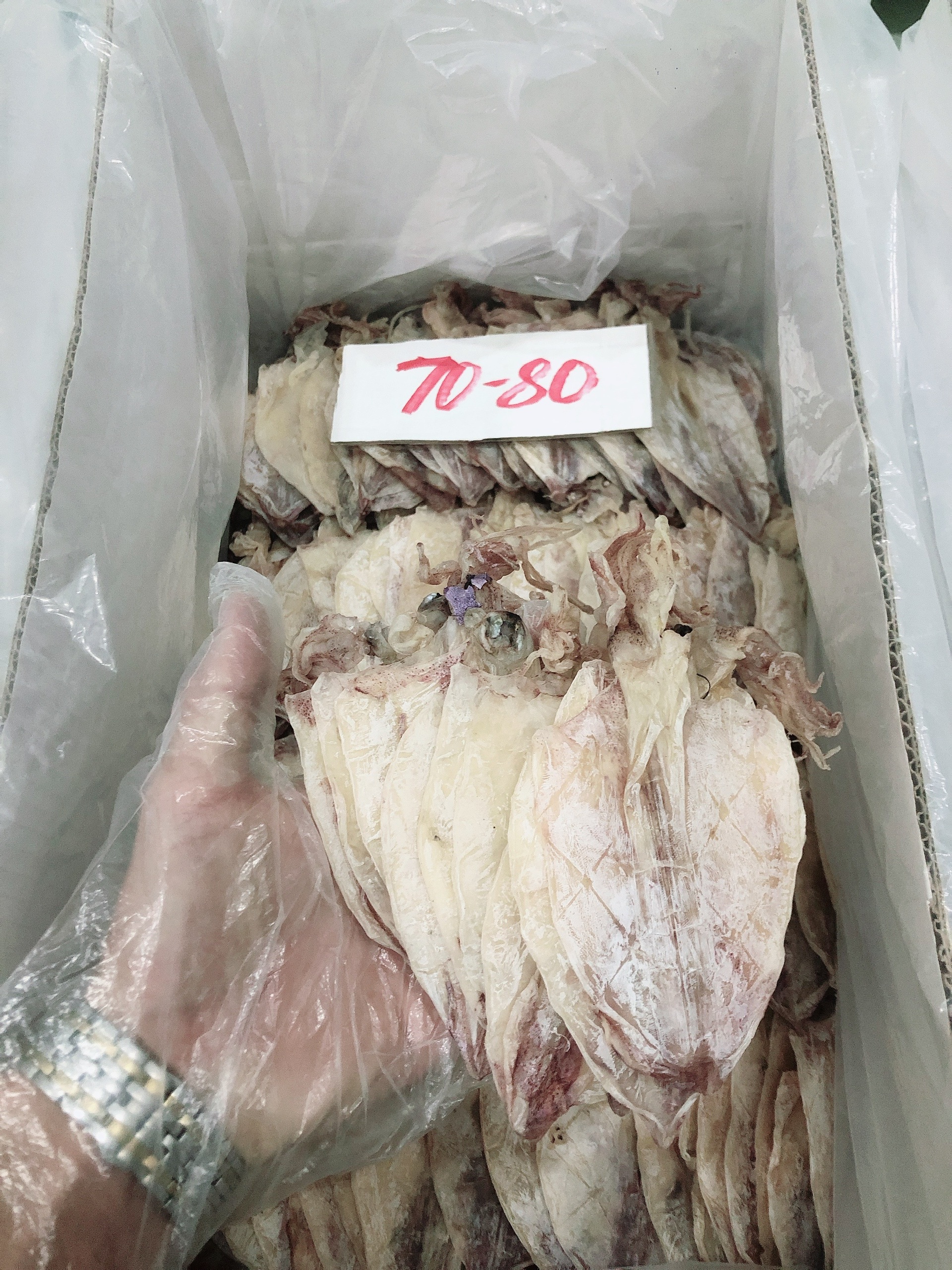 [HCM]Khô mực giá rẻ size 70-80con/kg