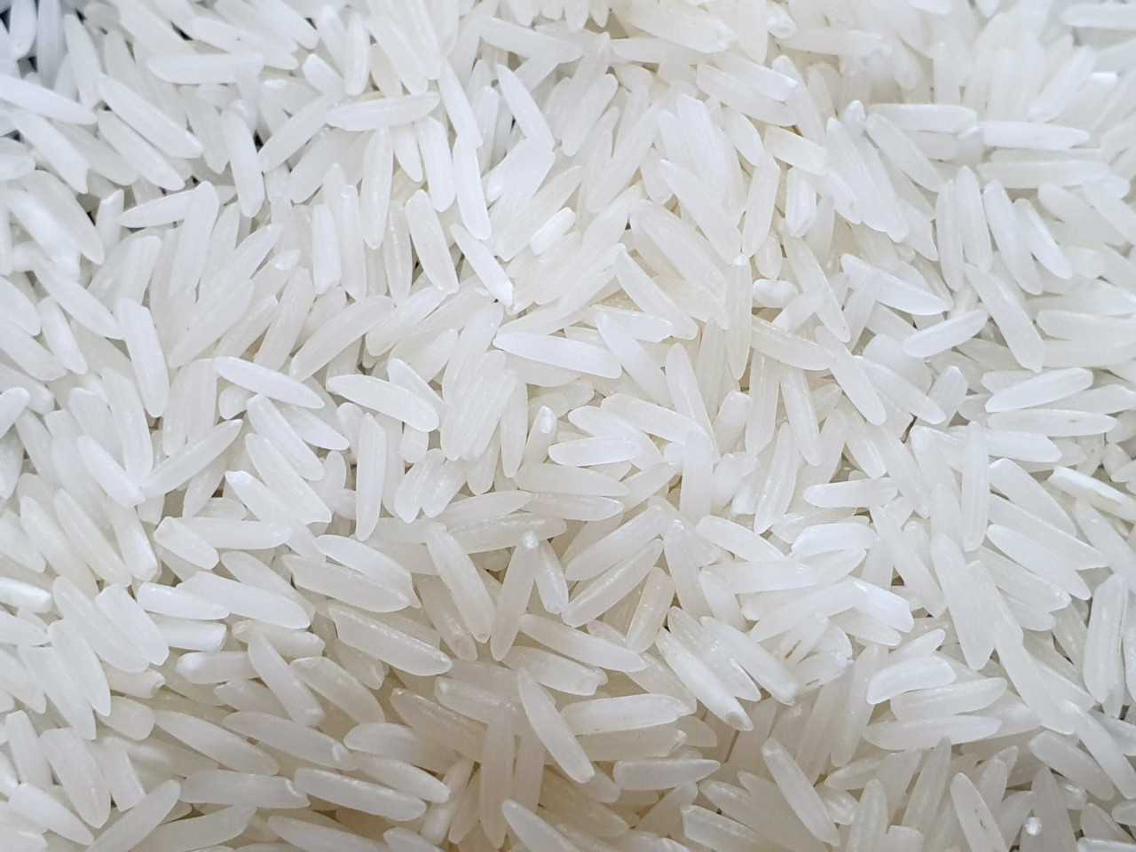 5KG Gạo Nhà Mình ST24 Lúa Tôm