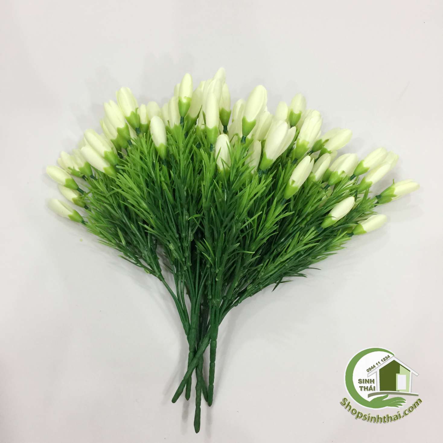 [HCM]Bụi Hoa Tulip Nhí Màu Trắng