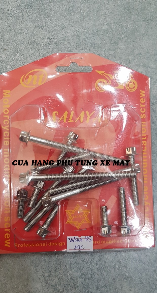 Bộ ốc lốc máy Wave RS/ Wave Alpha 2010 - 2016 hàng SALAYA (14 con)