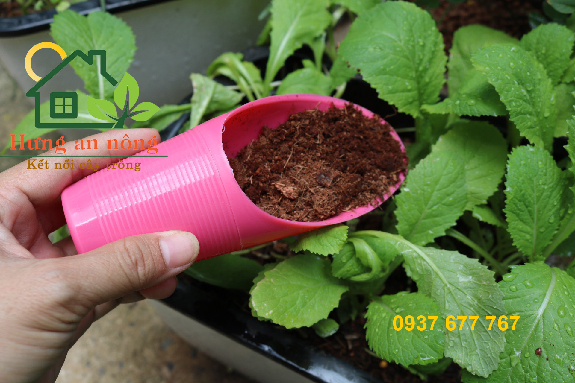 Lon ngắn xúc đất bằng nhựa dầy dùng cho cây trồng màu hồng và đỏ
