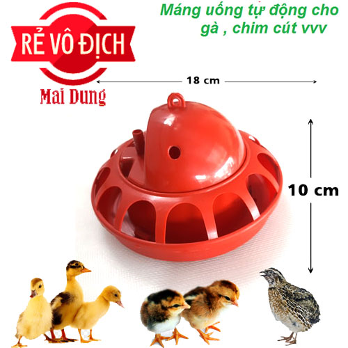 máng uống cho chim cút - gà - vịt - mới nở