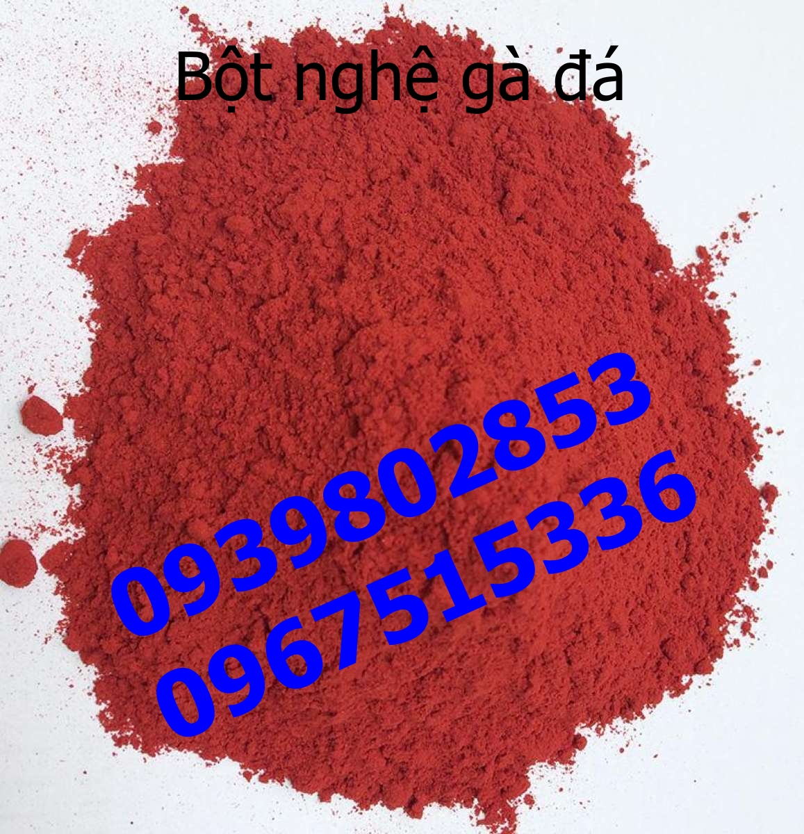 Bột Nghệ đỏ cao cấp cho gà đá 0.1kg